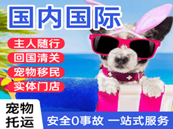 上海虹桥机场快递国际宠物托运 【国